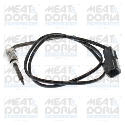 Sensor, exhaust gas temperature